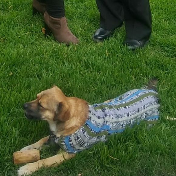 Meet your Posher, Maria - Picture 3 of 5